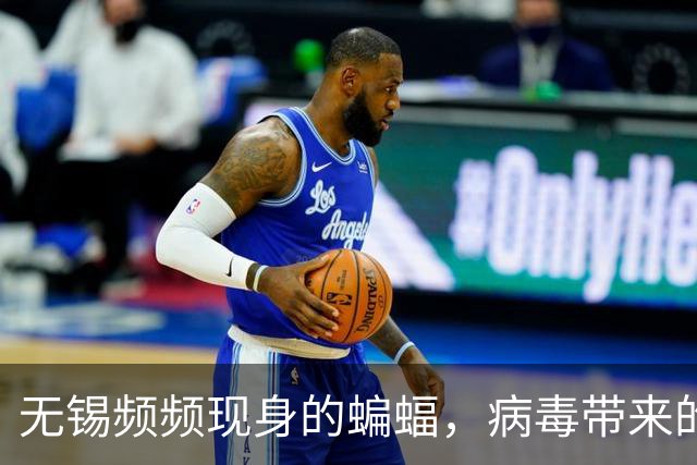 无锡频频现身的蝙蝠，病毒带来的夏季警示